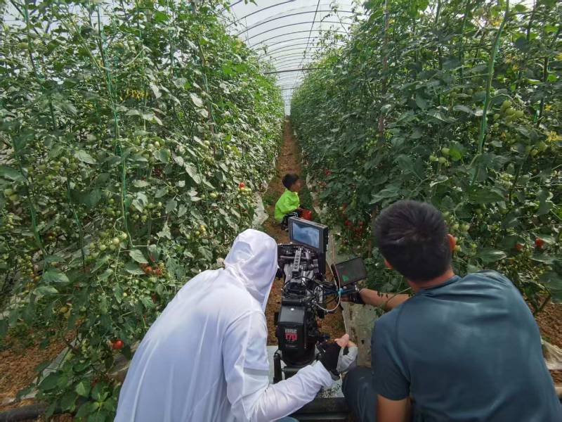 雁山区产品宣传视频拍摄公司进阶指南，助力品牌抢占传播高地